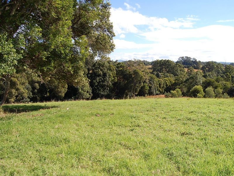 360 Upper Warrell Creek Road, Warrell Creek NSW 2447