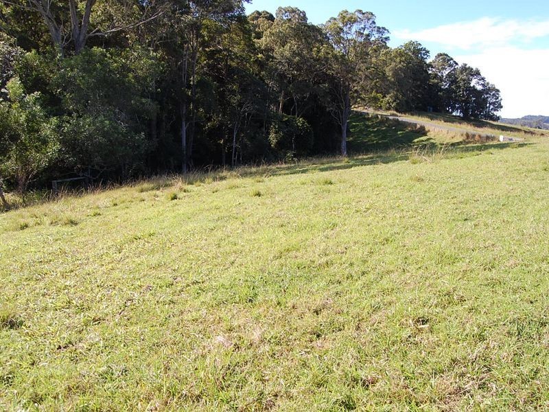 360 Upper Warrell Creek Road, Warrell Creek NSW 2447