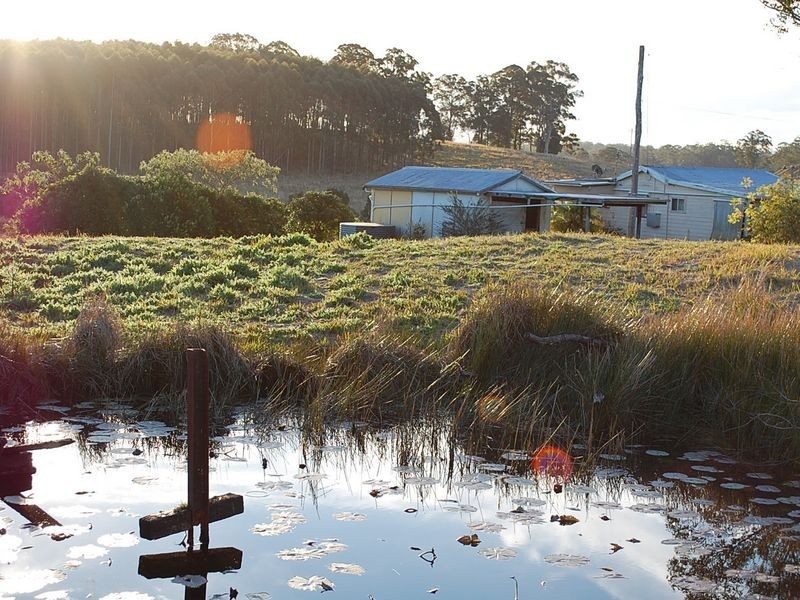 45 Station St, Eungai Rail NSW 2441