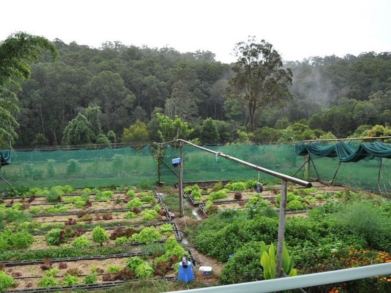 174 Congarinni Rd North, Macksville NSW 2447