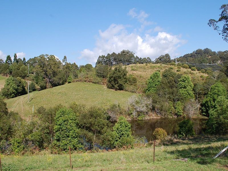 493 North Arm Road, Argents Hill NSW 2449