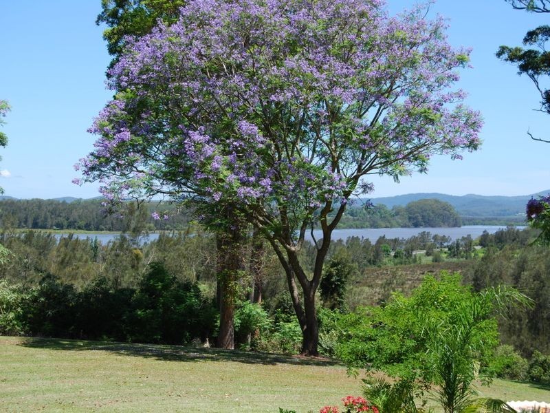 41 Florence Wilmont Drive, Nambucca Heads NSW 2448