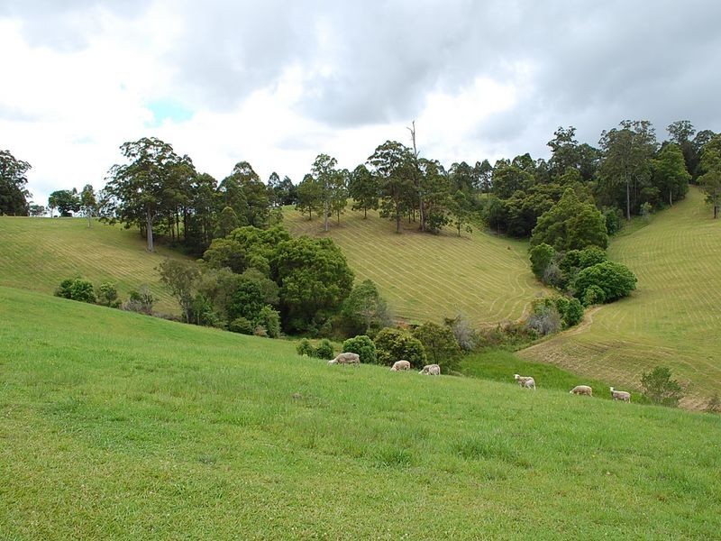 147 Lower Buckrabendinni Road, Bowraville NSW 2449