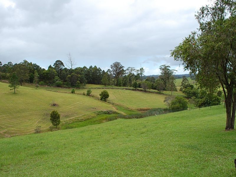 147 Lower Buckrabendinni Road, Bowraville NSW 2449