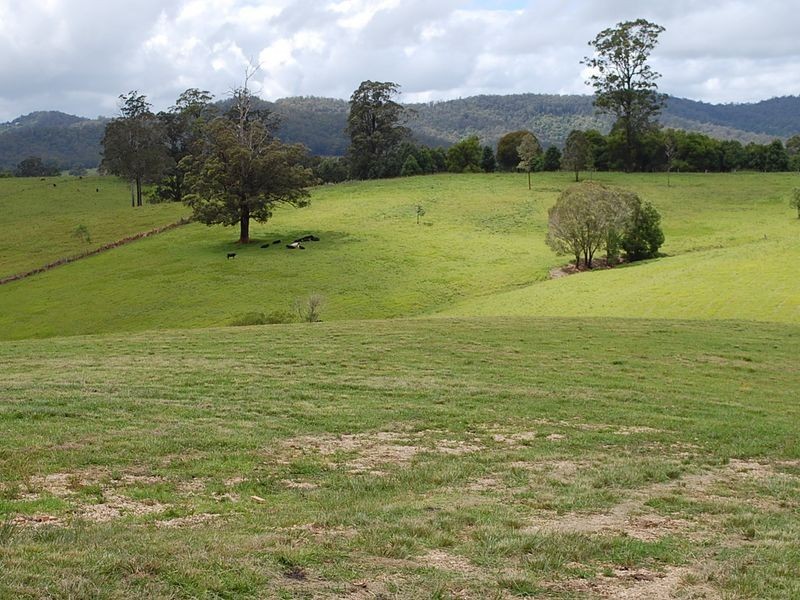 147 Lower Buckrabendinni Road, Bowraville NSW 2449