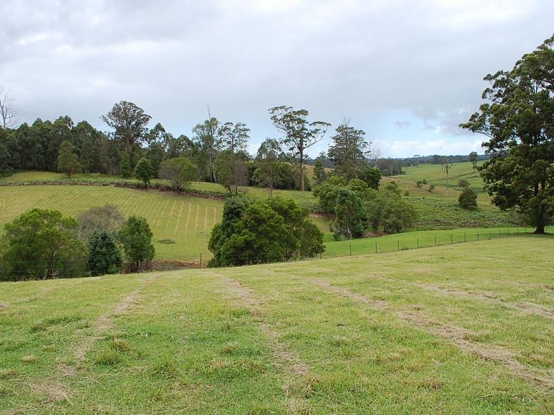 147 Lower Buckrabendinni Road, Bowraville NSW 2449