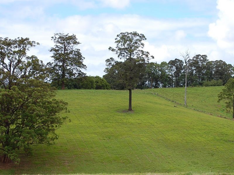 147 Lower Buckrabendinni Road, Bowraville NSW 2449