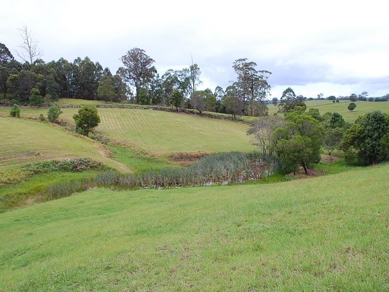 147 Lower Buckrabendinni Road, Bowraville NSW 2449