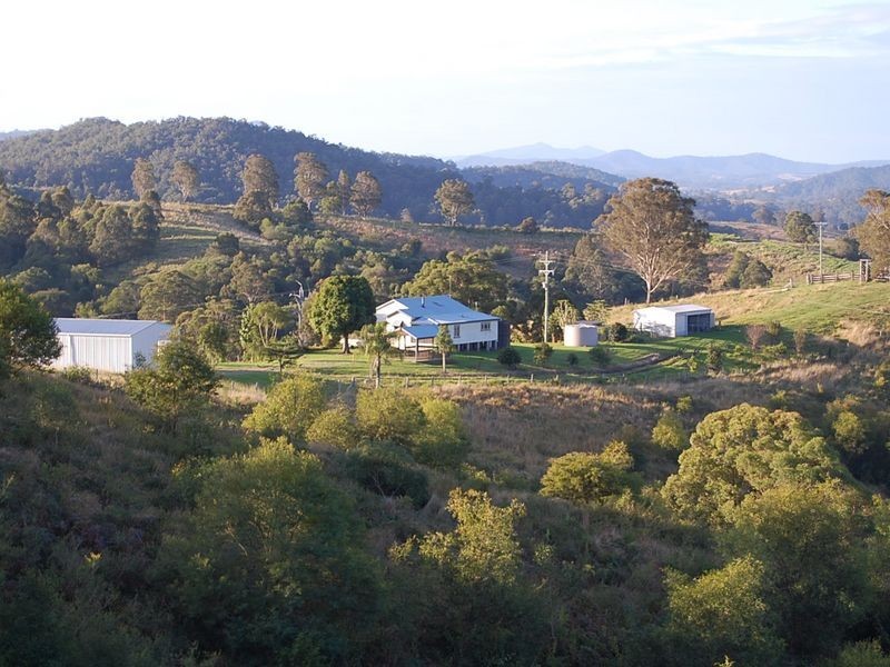 521 Greenhills Rd, Taylors Arm NSW 2447