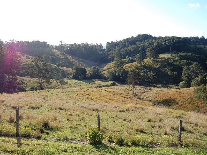 521 Greenhills Rd, Taylors Arm NSW 2447