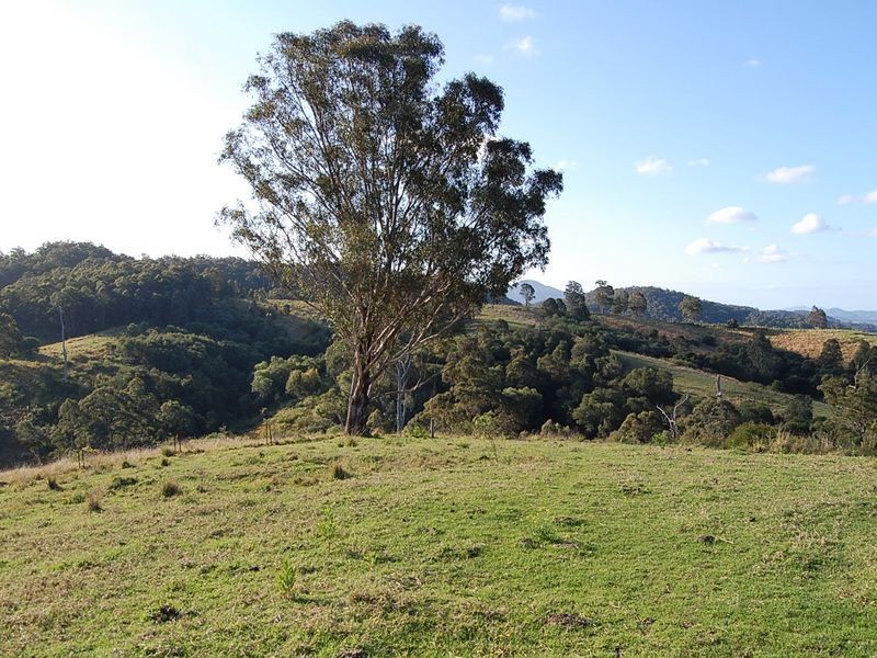 521 Greenhills Rd, Taylors Arm NSW 2447