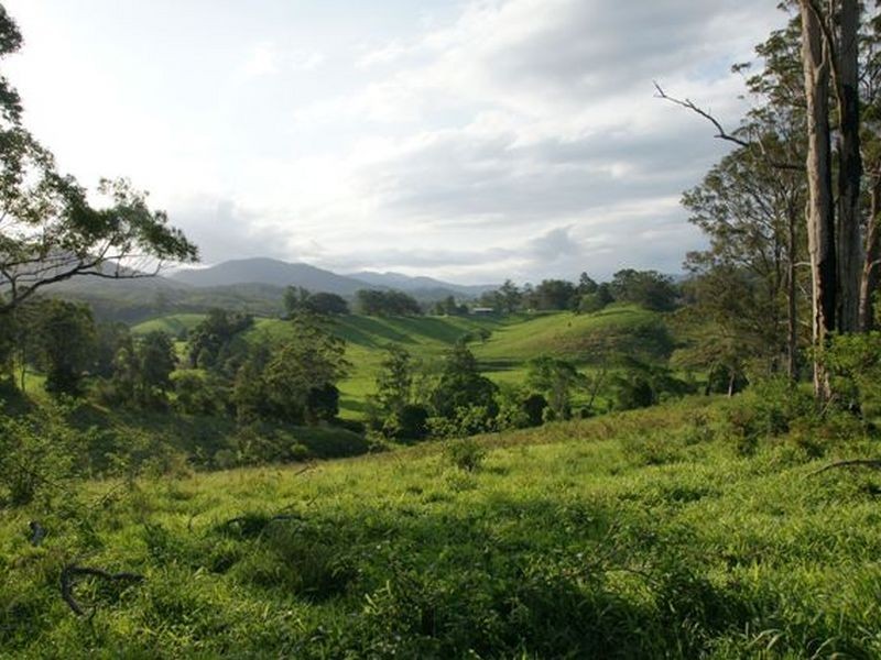 889 Bucckrabendinni Road, Macksville NSW 2447