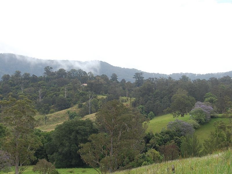 889 Bucckrabendinni Road, Macksville NSW 2447