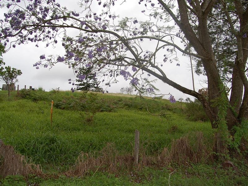 889 Bucckrabendinni Road, Macksville NSW 2447