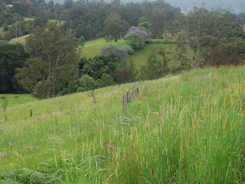 889 Bucckrabendinni Road, Macksville NSW 2447