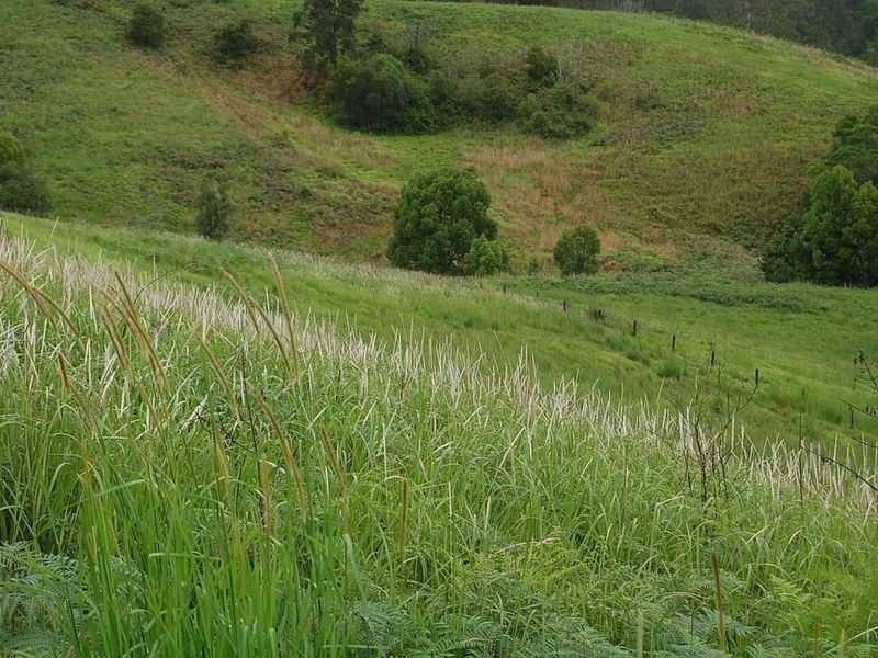 889 Bucckrabendinni Road, Macksville NSW 2447