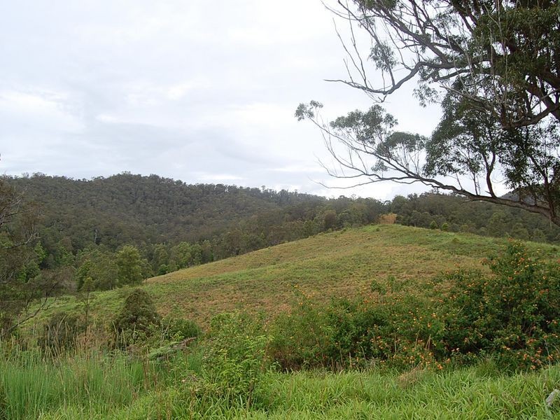 889 Bucckrabendinni Road, Macksville NSW 2447