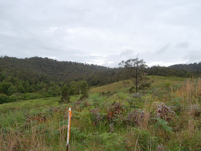 889 Bucckrabendinni Road, Macksville NSW 2447