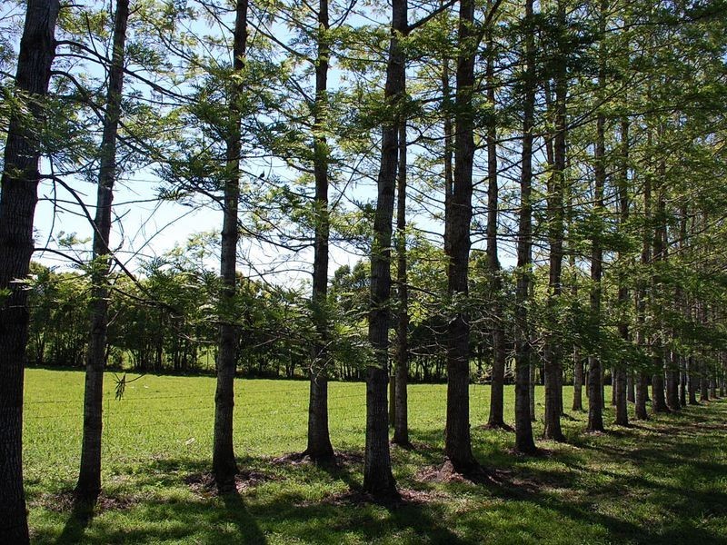 25 Borefield Rd, Bowraville NSW 2449