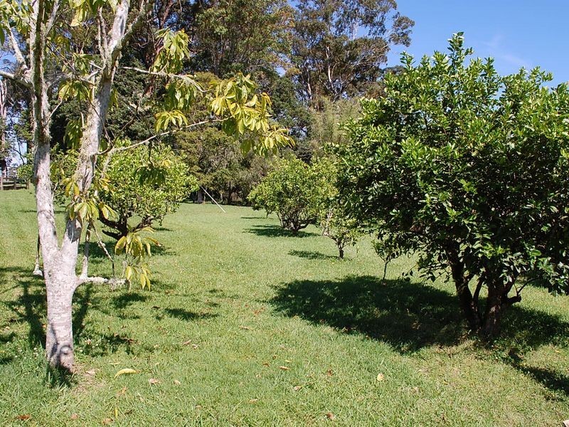 25 Borefield Rd, Bowraville NSW 2449