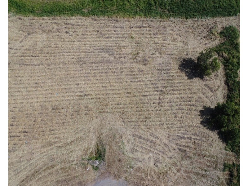 39 Harrison Court, Bowen QLD 4805