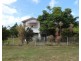 5 Livingstone Street, Bowen QLD 4805