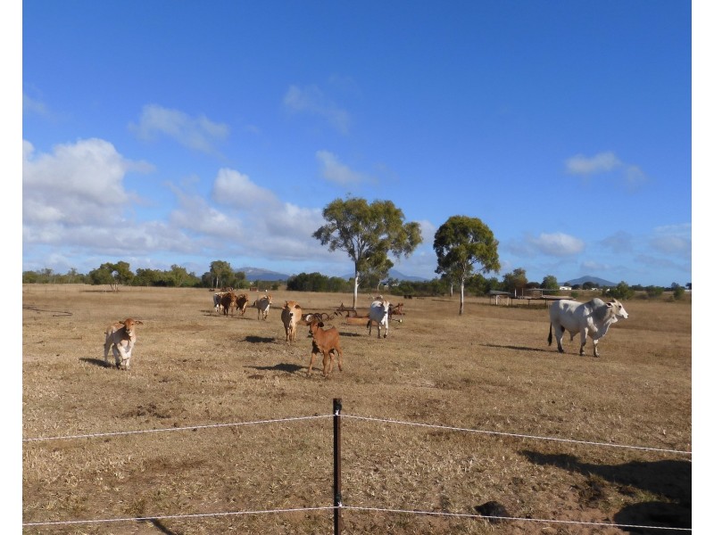 15 Eyles, Bowen QLD 4805