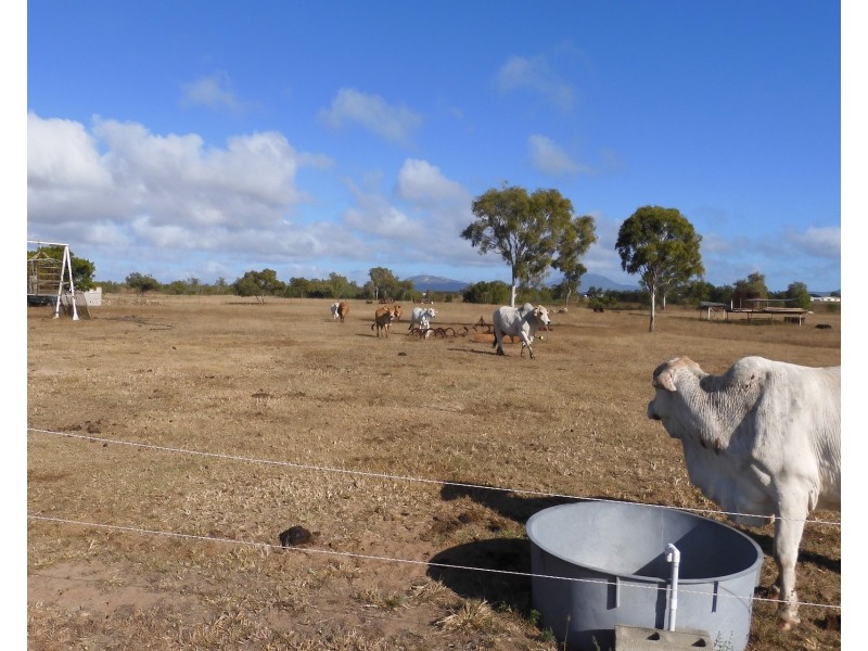 15 Eyles, Bowen QLD 4805