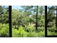 204 Shoal Point Road, Shoal Point QLD 4750