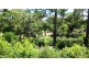 204 Shoal Point Road, Shoal Point QLD 4750