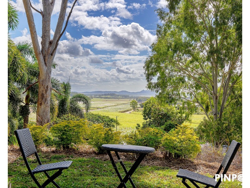 159 Olletts Road, Habana QLD 4740