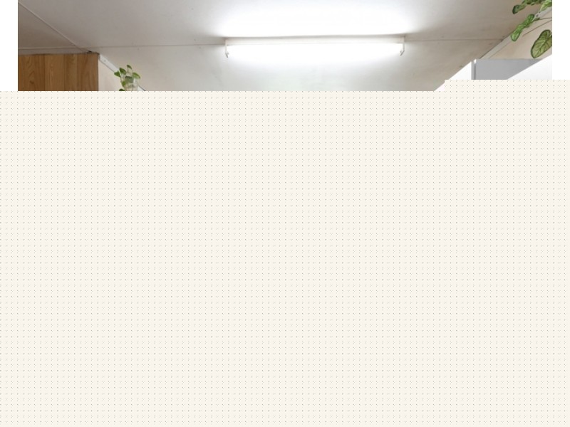 103 Kippen Drive, Ball Bay QLD 4741