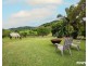 57 Mdina Drive, Habana QLD 4740
