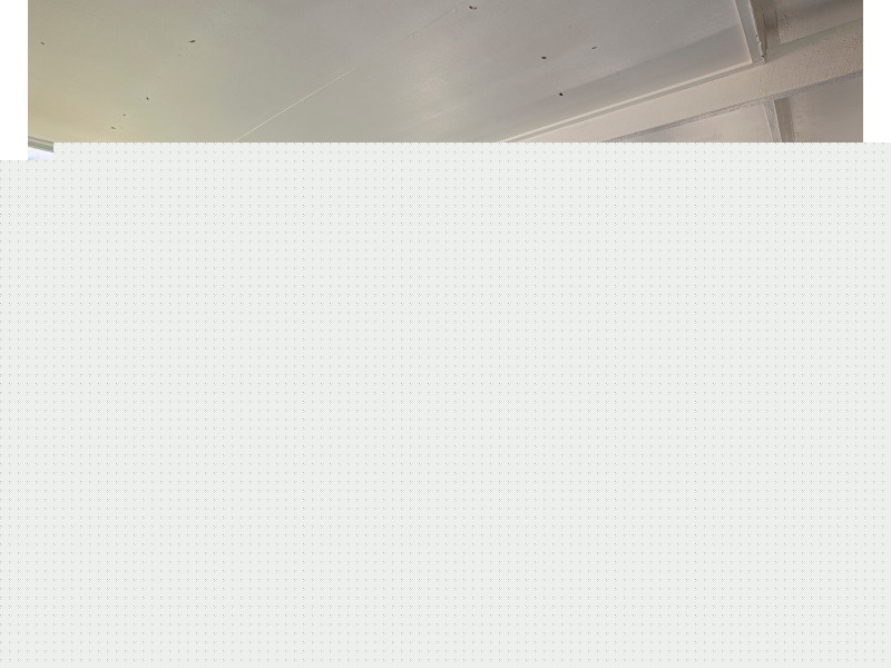 11 Gibbs Court, Mount Pleasant QLD 4740