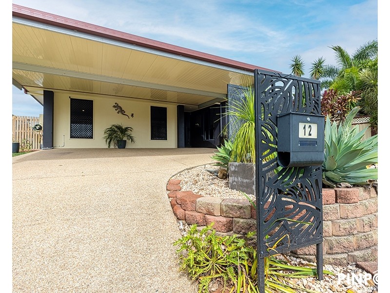 12 Salmon Court, Andergrove QLD 4740