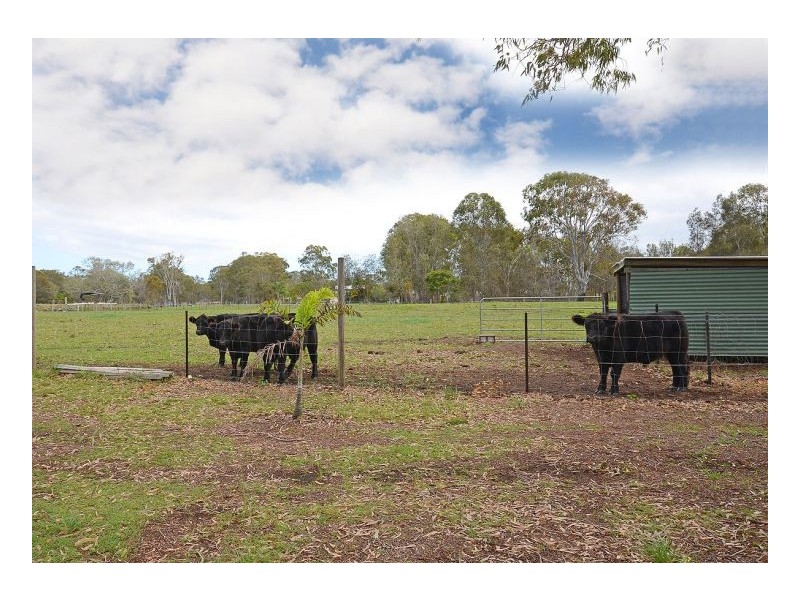 71 Ti Tree Road East, Booral QLD 4655