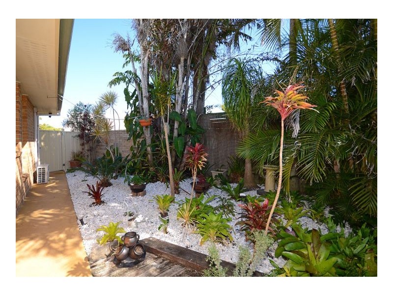 10 Kentia Court, Kawungan QLD 4655