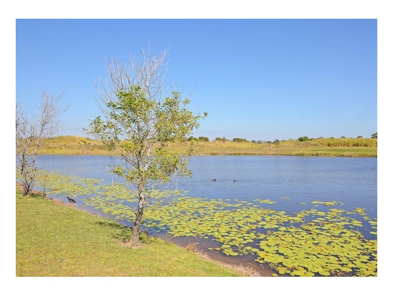 37 Yarrilee Cct, Dundowran QLD 4655