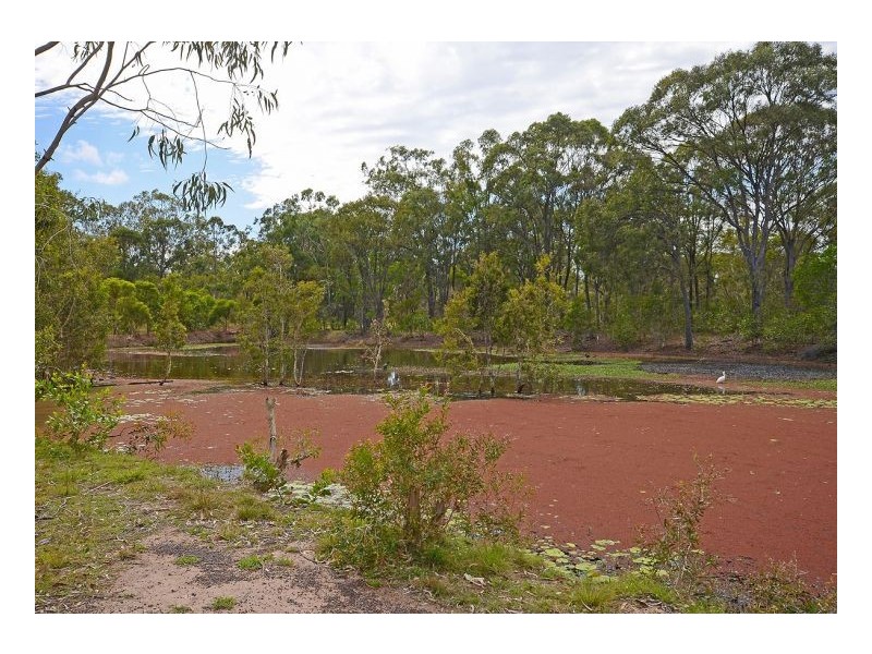 128 Barranjoey Drive, Sunshine Acres QLD 4655