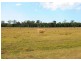 48 Smith Road, Howard QLD 4659