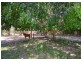 243 Doolong Rd, Wondunna QLD 4655