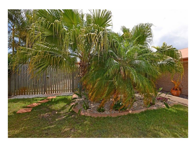 24 Jonwest Cl, Torquay QLD 4655