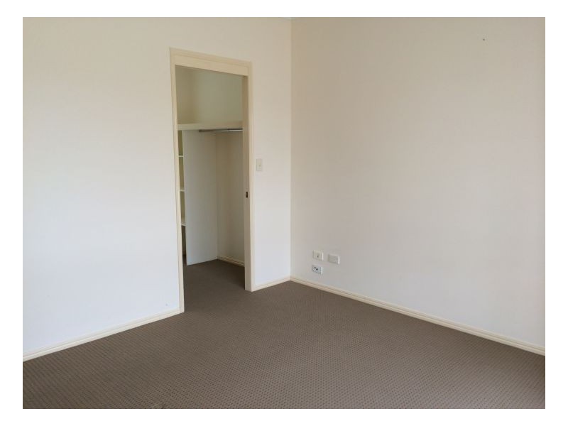 141 Ibis Boulevard, Eli Waters QLD 4655