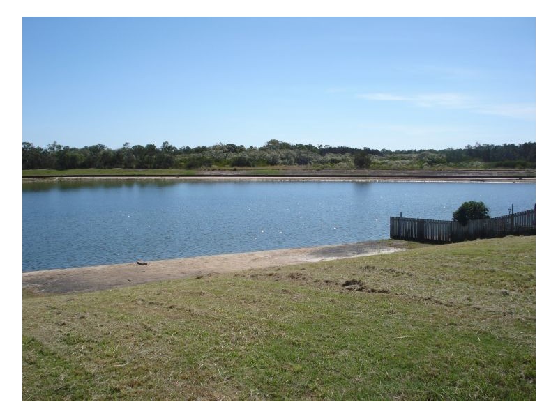 16 Spoonbill Way, Eli Waters QLD 4655