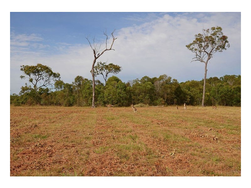 56 Virtue Avenue, Booral QLD 4655