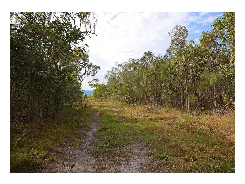 56 Virtue Avenue, Booral QLD 4655