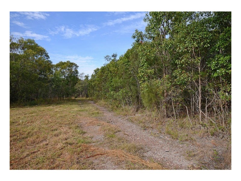 56 Virtue Avenue, Booral QLD 4655