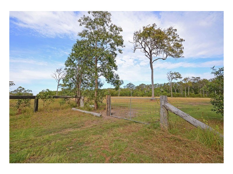 56 Virtue Avenue, Booral QLD 4655