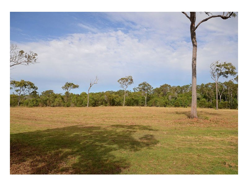 56 Virtue Avenue, Booral QLD 4655