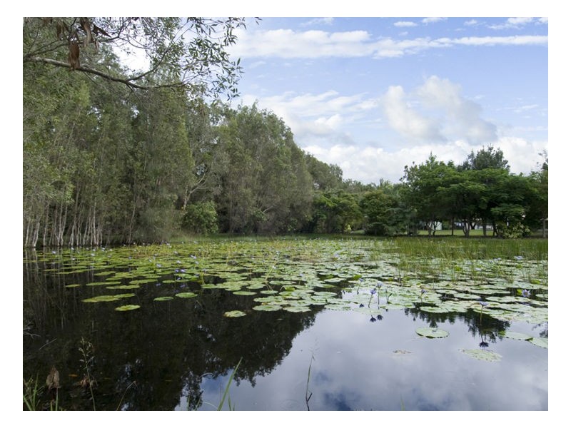 7 Rivina Ct, Dundowran Beach QLD 4655
